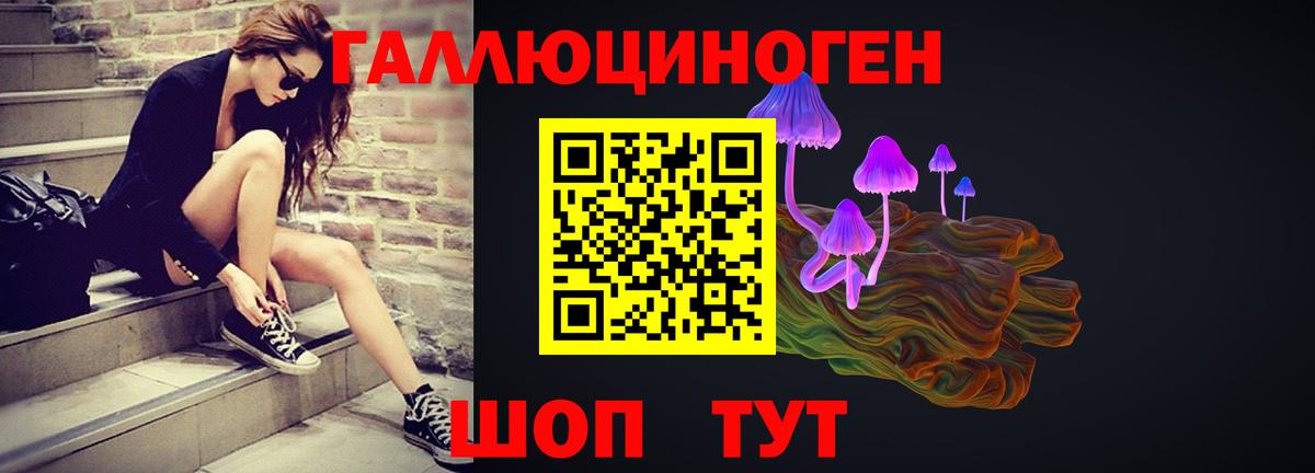 Галлюциногенные грибы MAGIC MUSHROOMS  Псилоцибиновые грибы прущие грибы  купить   Георгиевск  Вход с VPN 